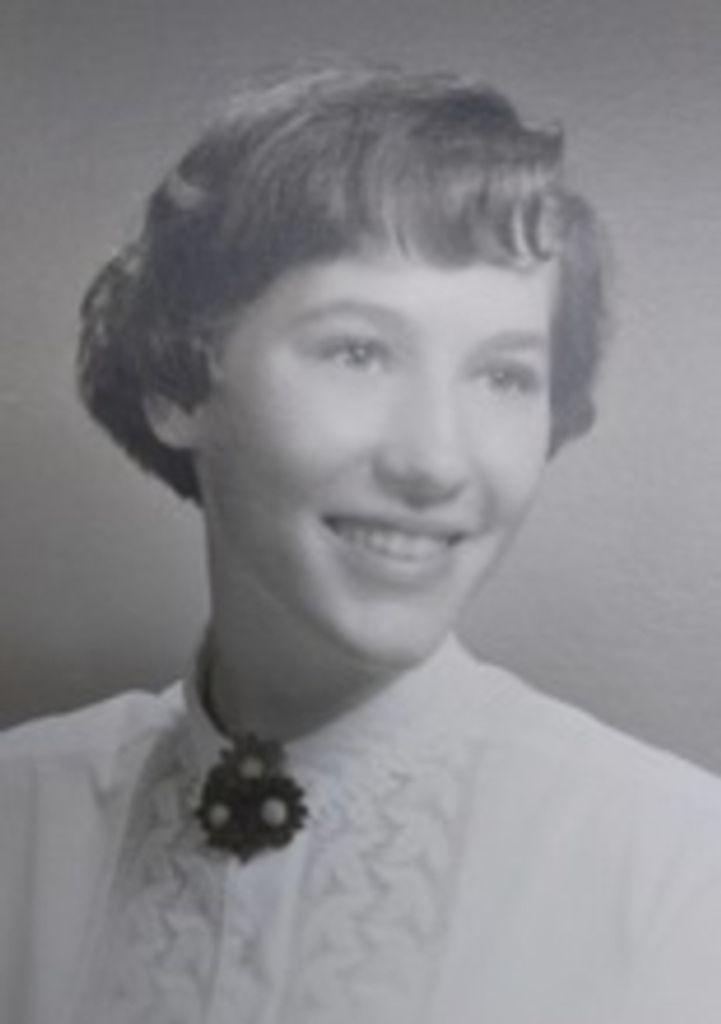 Levoy A. Schopp Profile Photo