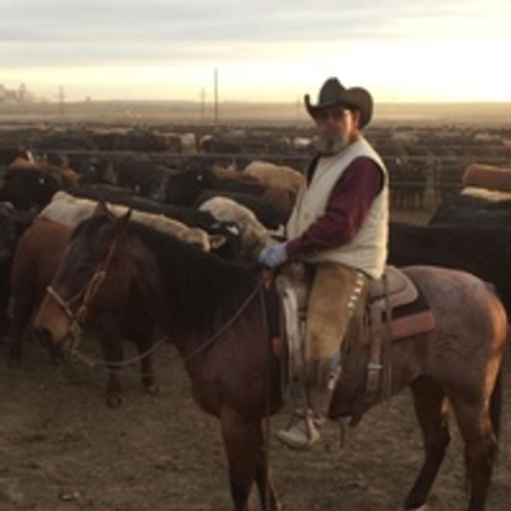 Don Brazeal Profile Photo