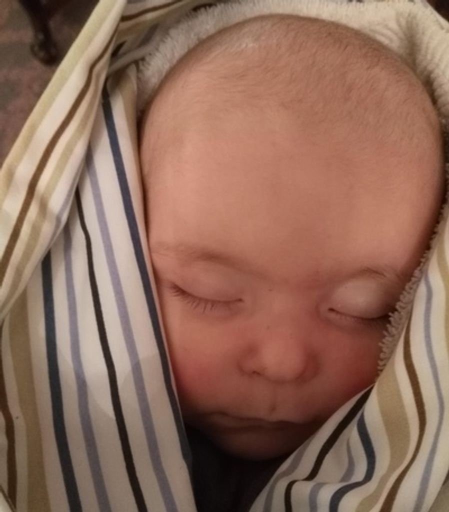 Zander Scott Shipley