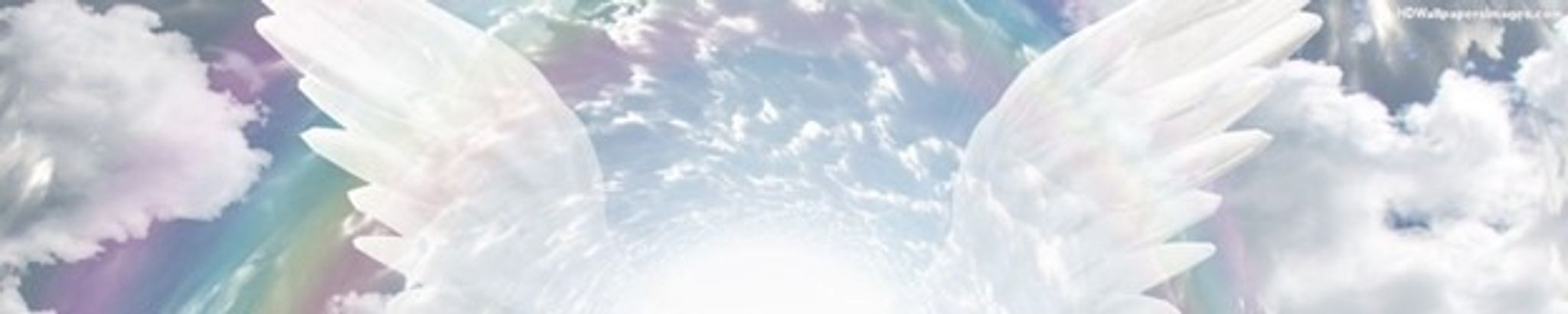 Cover for Shirley McGuire's Obituary