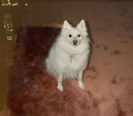Sharon Ann Finch photo gallery thumbnail 90 of 109
