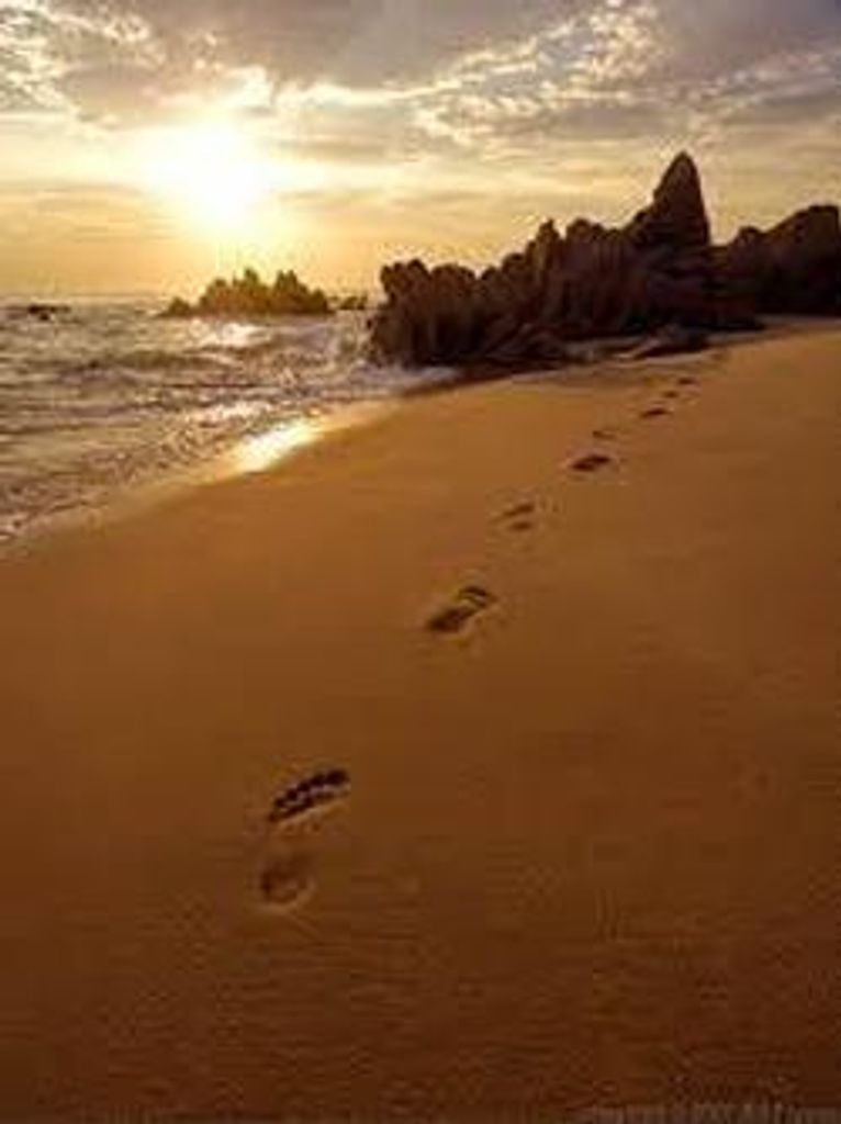 Signa Ann Hinshaw Profile Photo