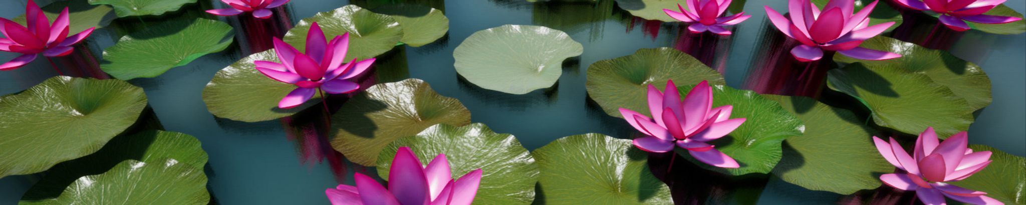 Cover for Natasha B. Suter's Obituary