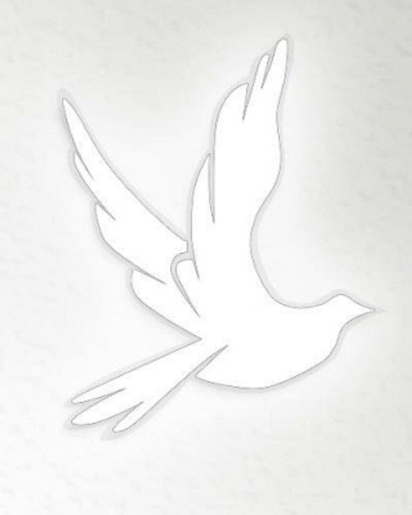O’Keefe Profile Photo