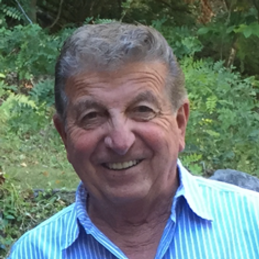 Vincent Lupi Profile Photo