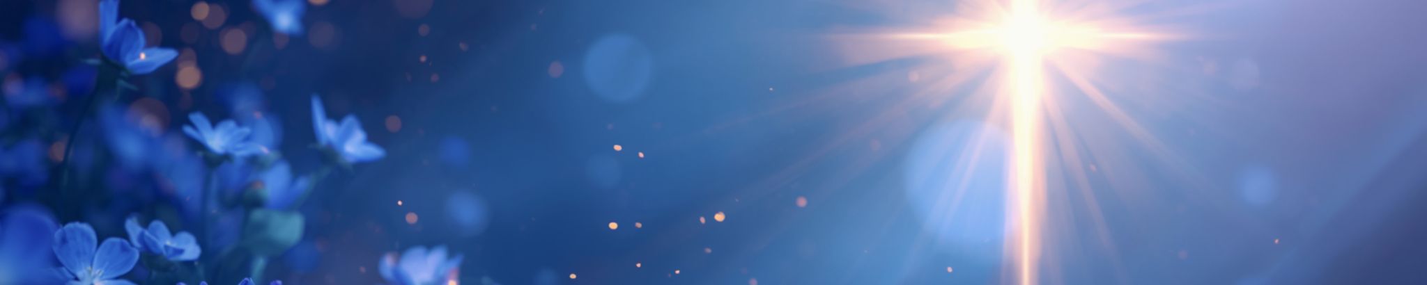 Cover for Jacqueline "Jackie" Stephens's Obituary