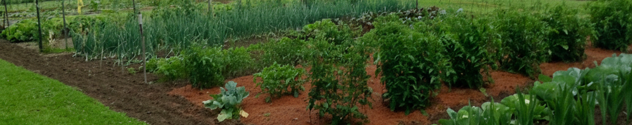 Cover for Wayne Richard Roberts's Obituary