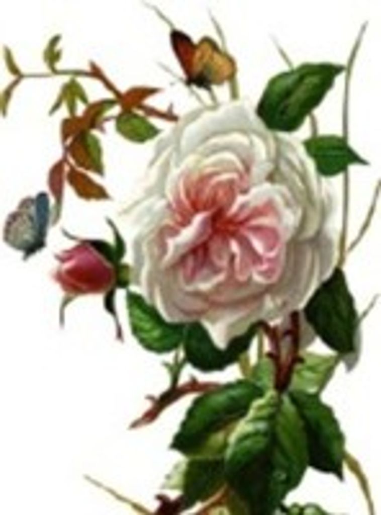 Loretta Harrison Anderson Profile Photo