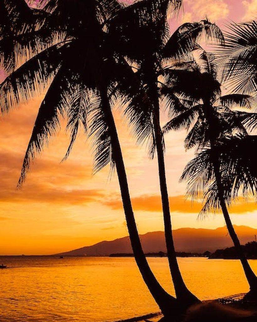 Wilbur Hugh Harkey Profile Photo