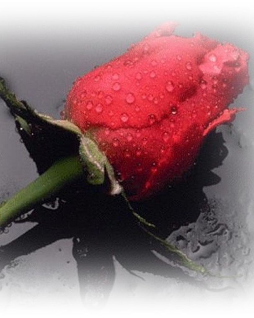 Patricia S. Milliken Profile Photo