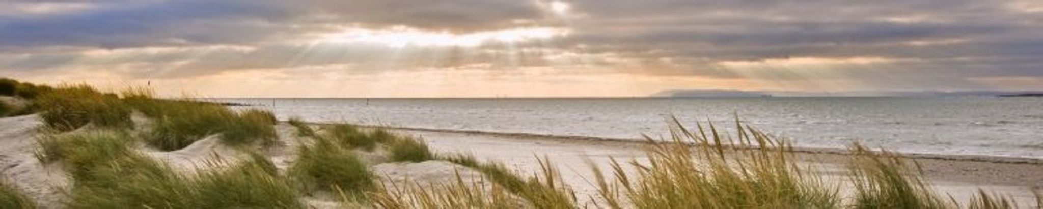 Cover for Joy Stein's Obituary