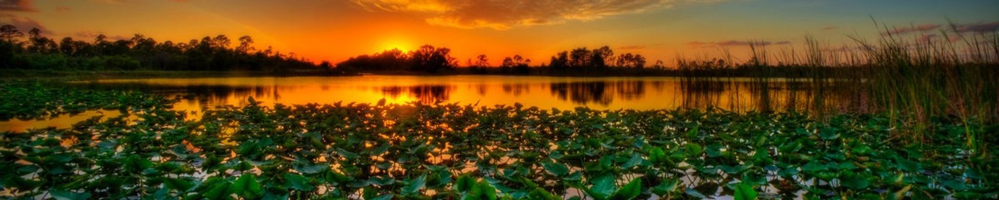 Cover for Tammy Jenkins Stogner's Obituary