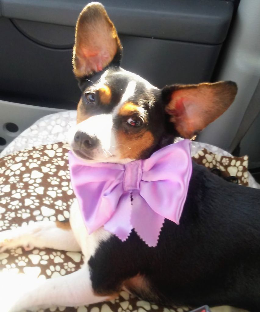 Lulu Norton Profile Photo