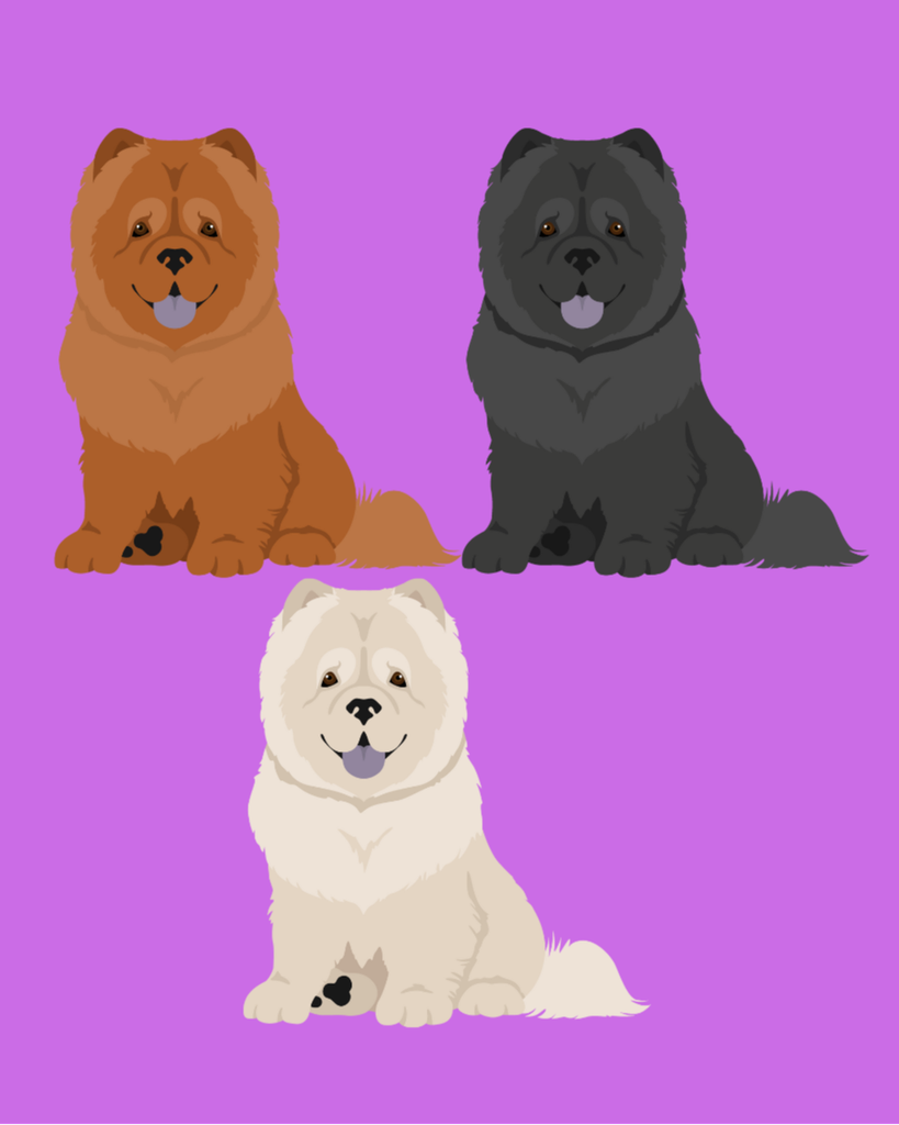 Derby Dawg Byers Profile Photo