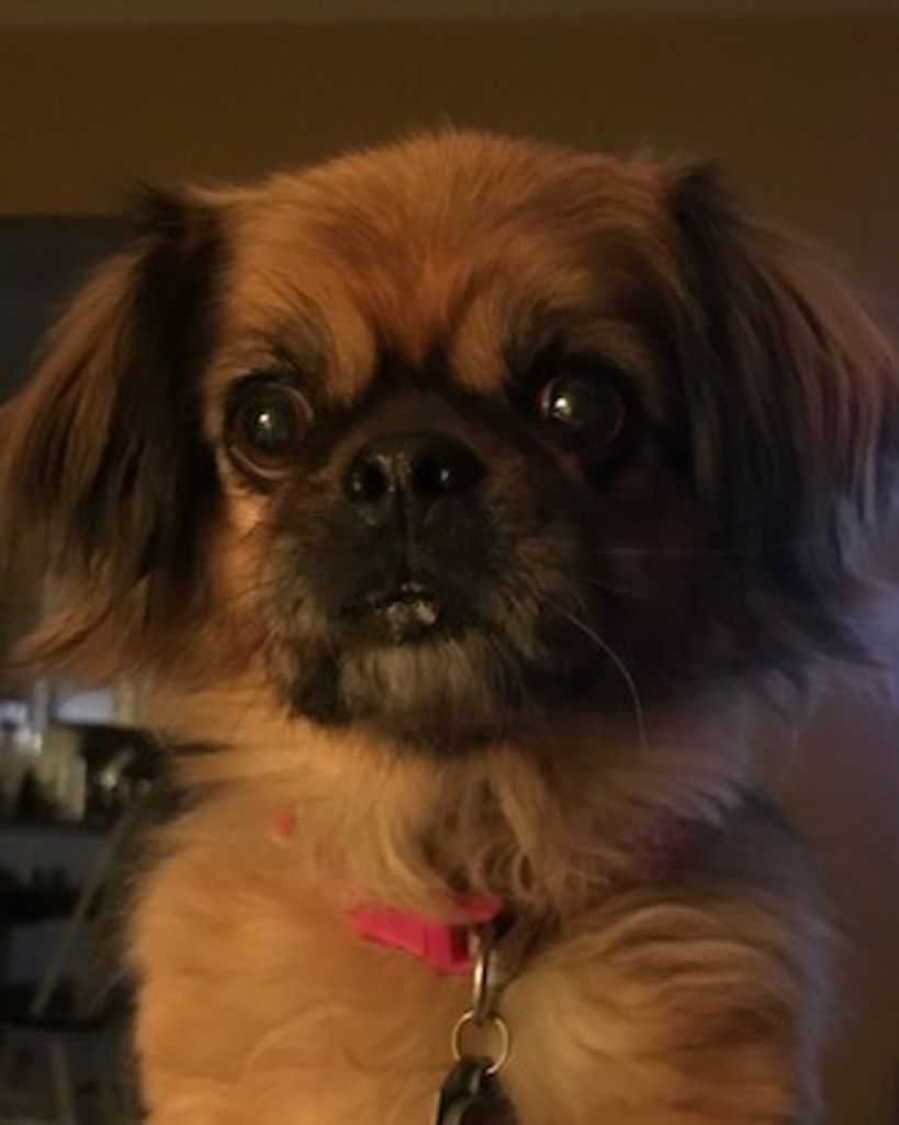 Molly Sue Flaherty Profile Photo