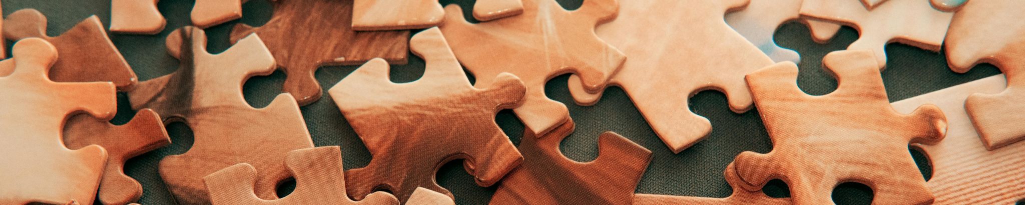 Cover for Joyce Anne Dillard Branzelle's Obituary