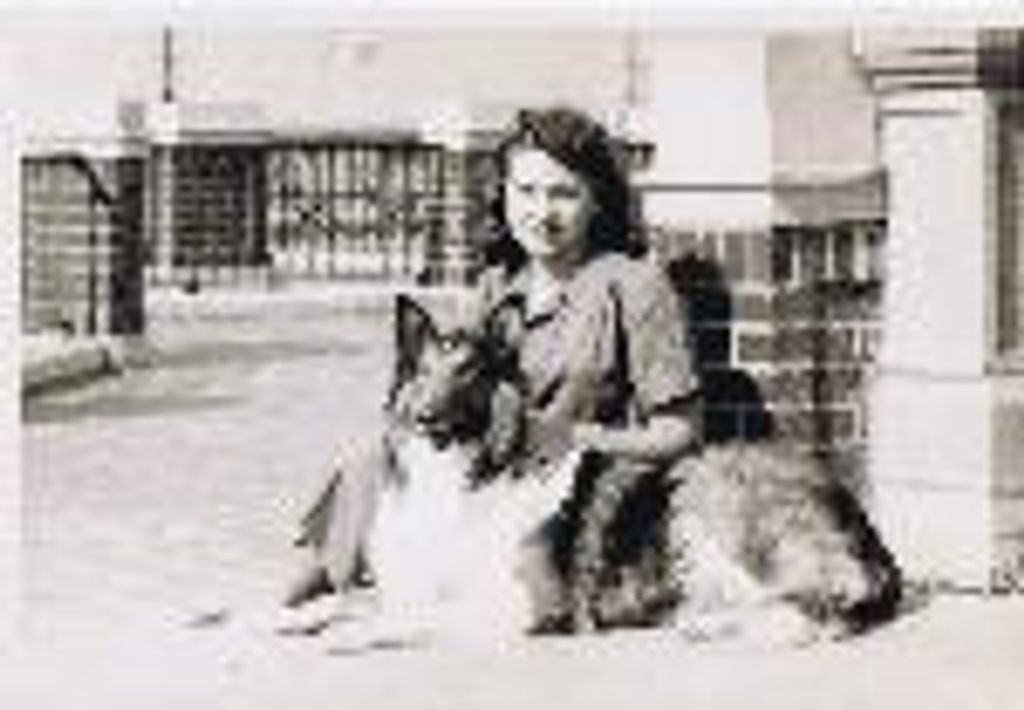 Elaine Turville Delaney