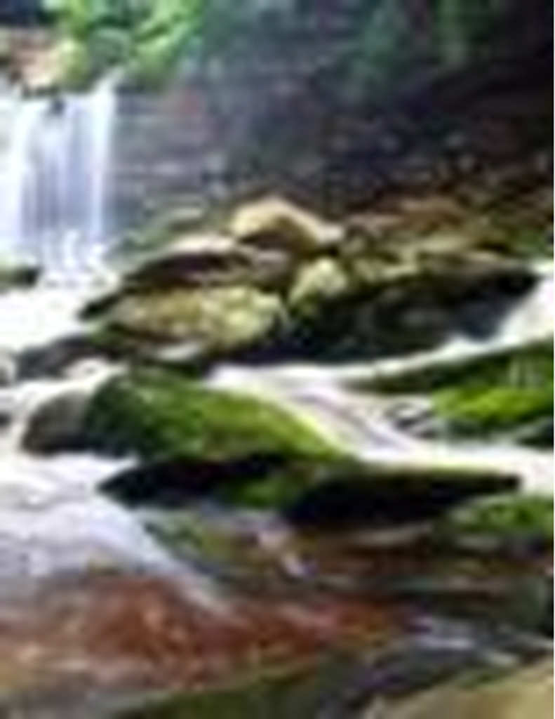 Myra "Pat" Patricia Bishop