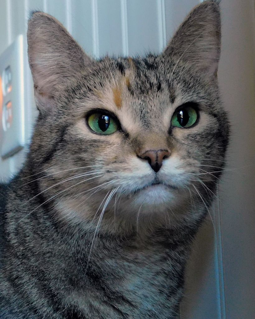 Arabella Anderson - Truett