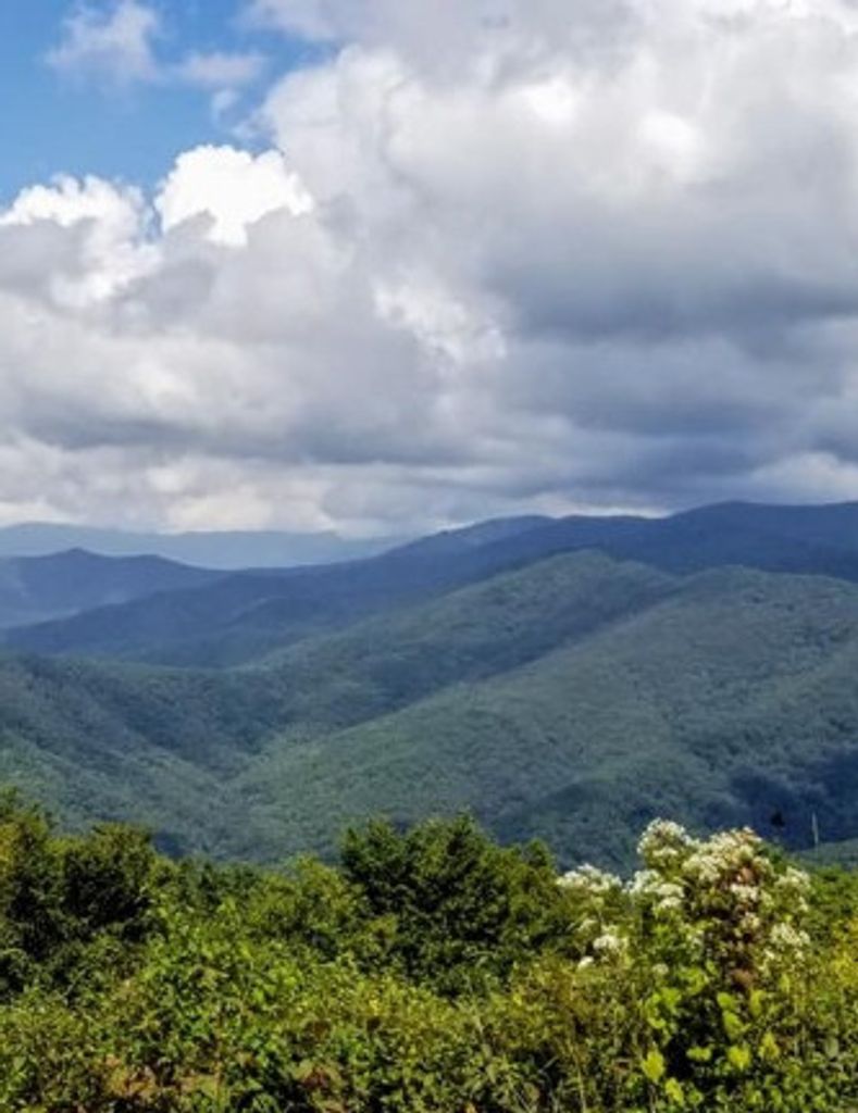 George A. Lamont, Jr. Profile Photo