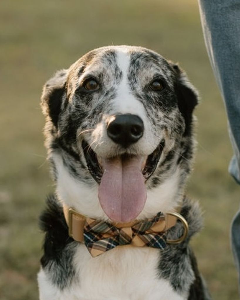 Shooter Baker Profile Photo