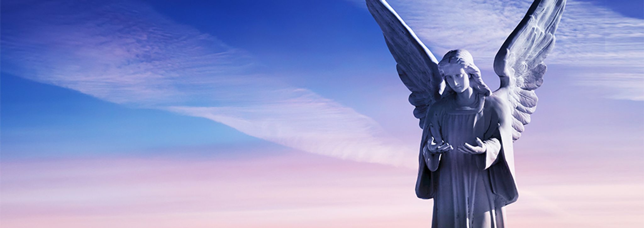 Cover photo for Carole Rose Hickman's Obituary
