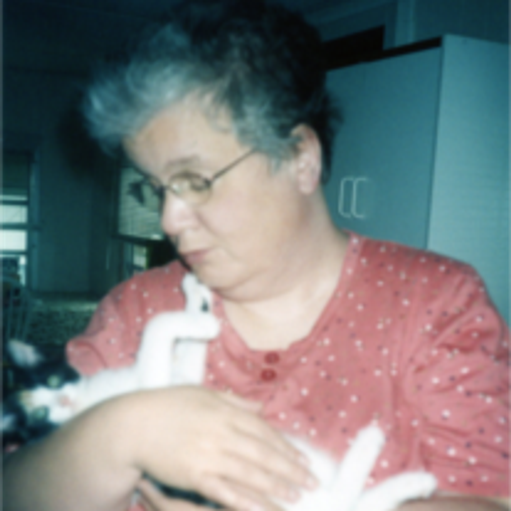 Angela Lynn Hiles