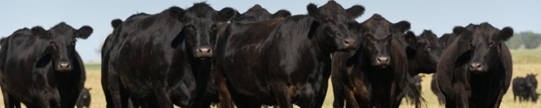 Cover for Marvin Lee Porteen's Obituary