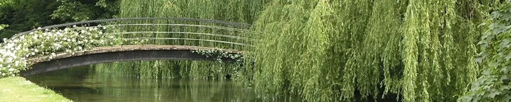 Cover for Carol Anne Bochenczak's Obituary