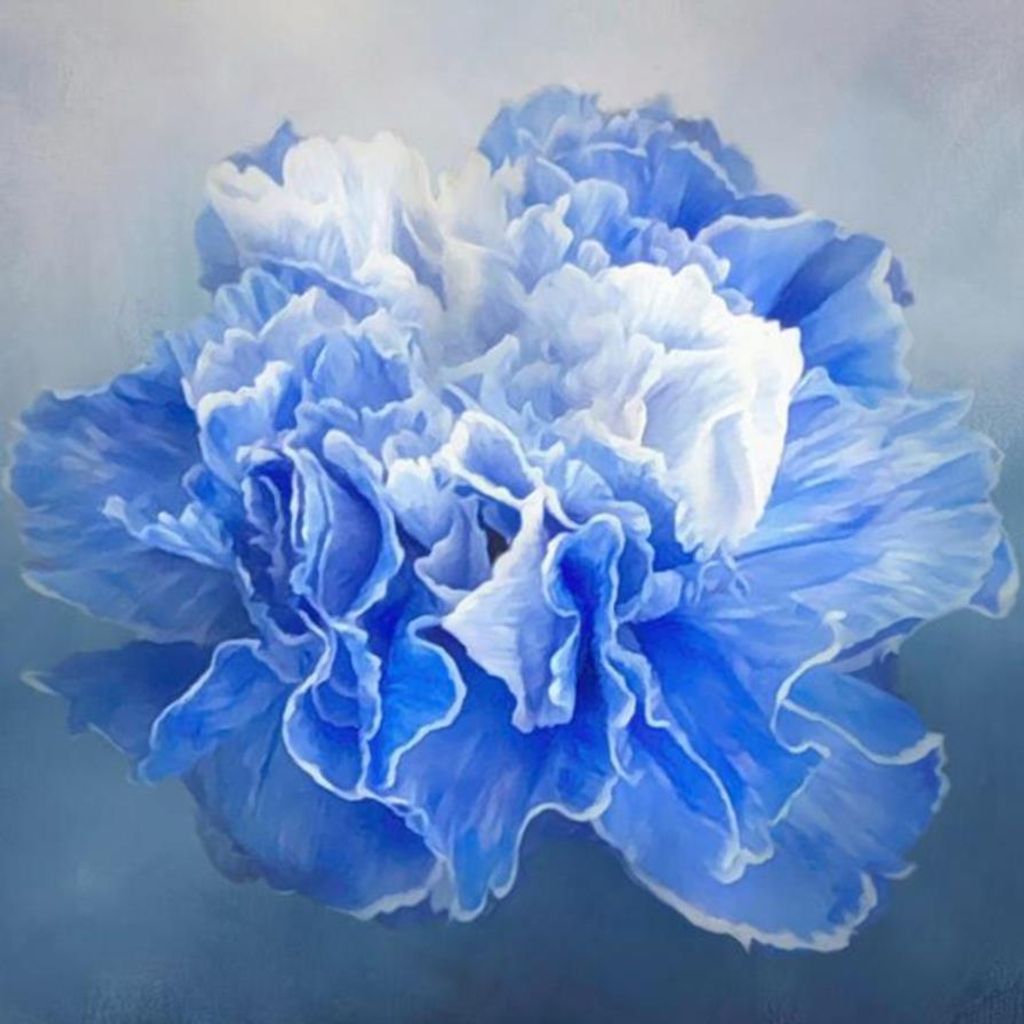 Linda Sterling Profile Photo