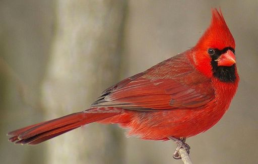 Sharon L. Bruck photo gallery thumbnail 154 of 170