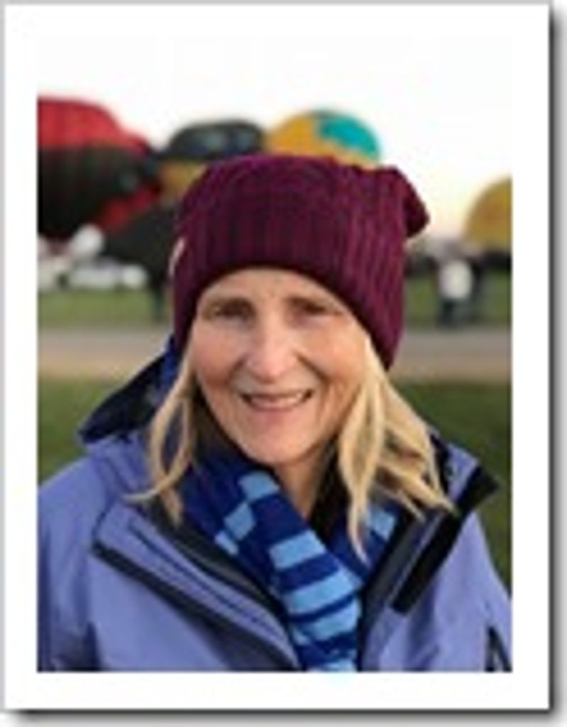 Leslie Ann Knipe