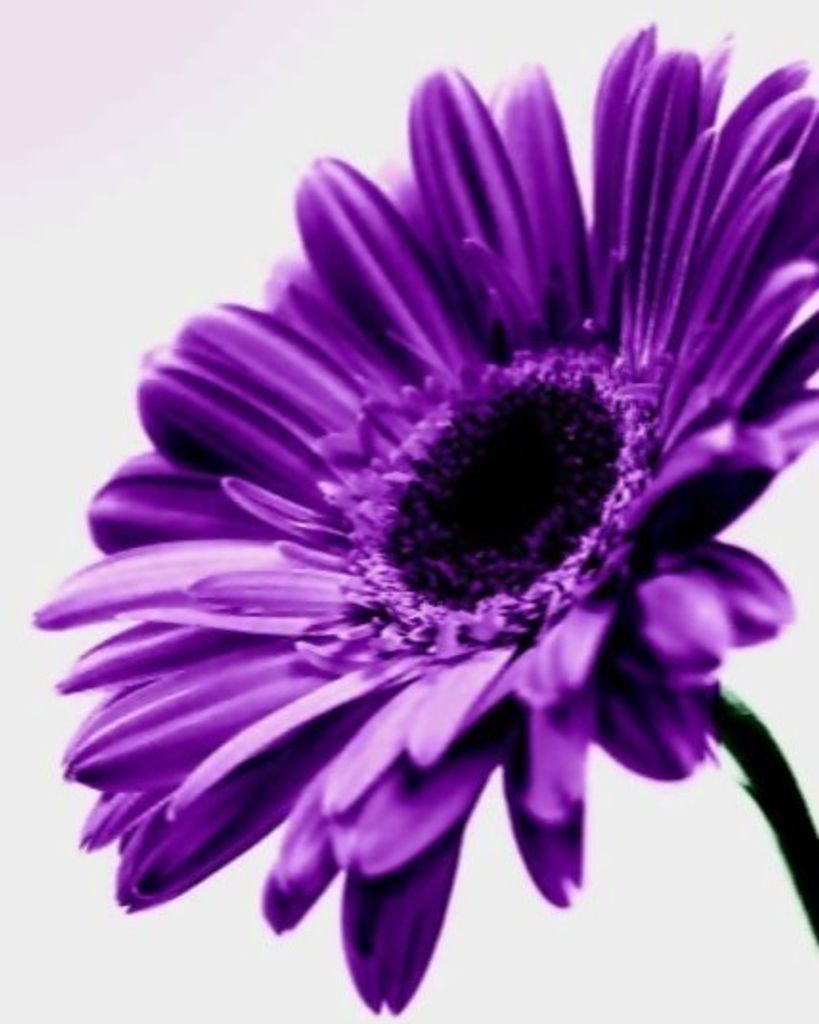 Audrey Josephine Lorraine Roesler Profile Photo