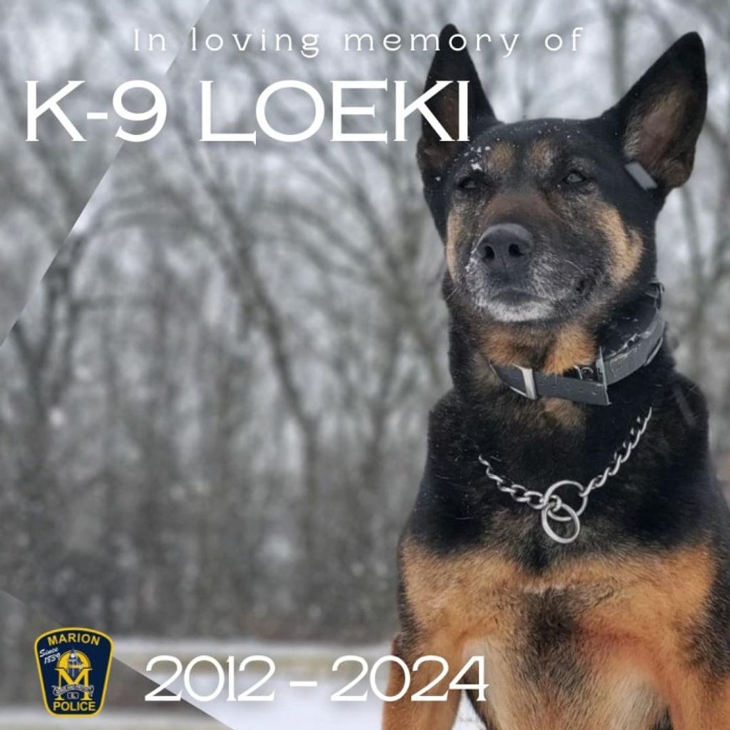 Loeki Francis Profile Photo