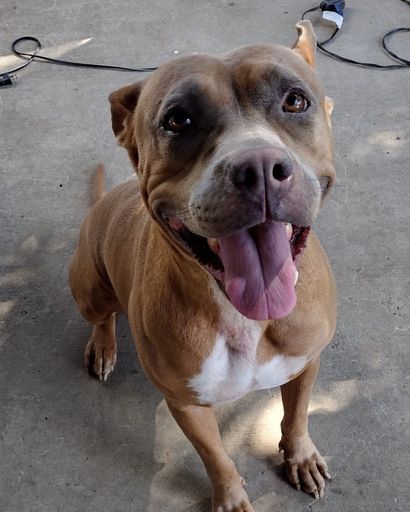 Nala ?'s obituary image