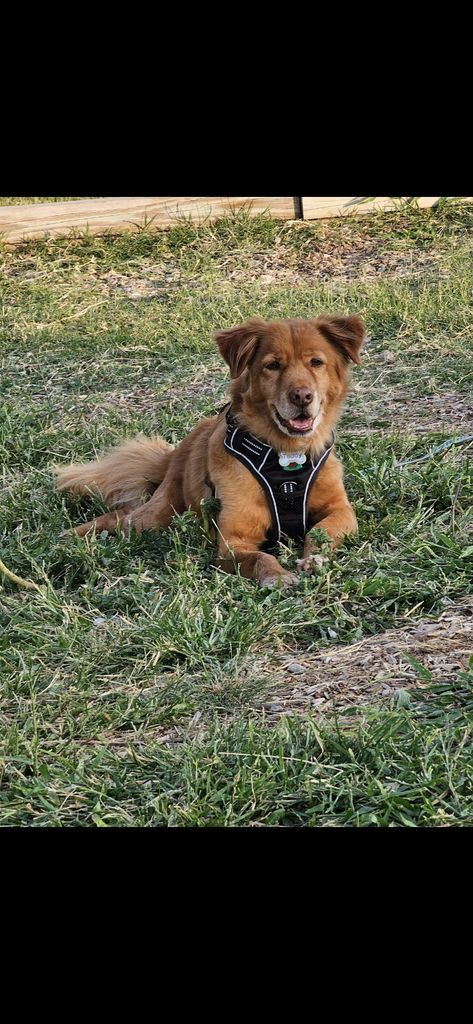 Teddy Rielo Profile Photo