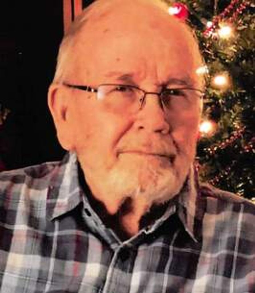 David S. Plumbley