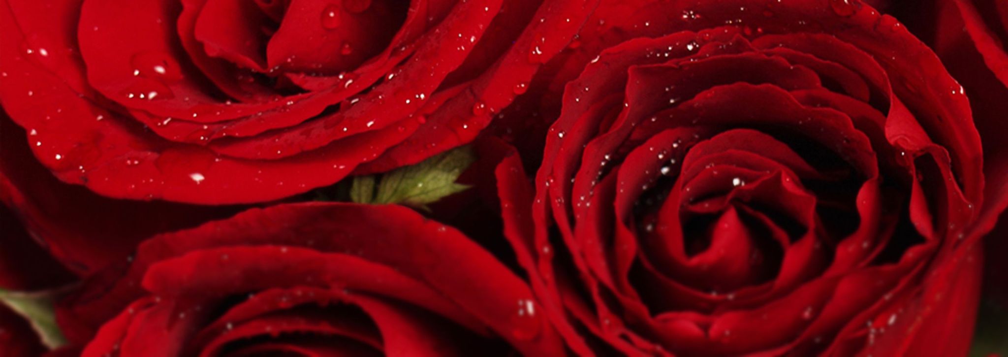 Cover photo for Arvilla Ann Berg's Obituary