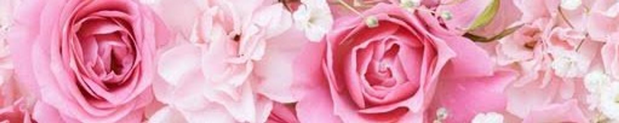 Cover for Katherine Smith Iseman's Obituary