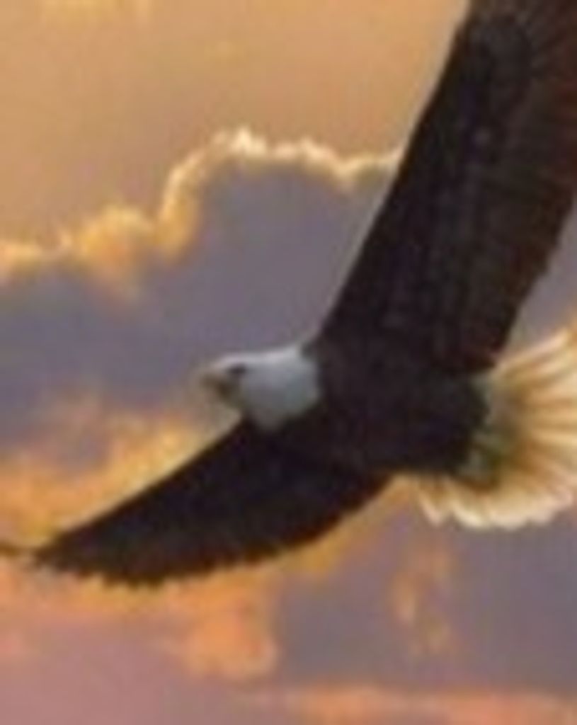 Edward Thomas Lewand Profile Photo