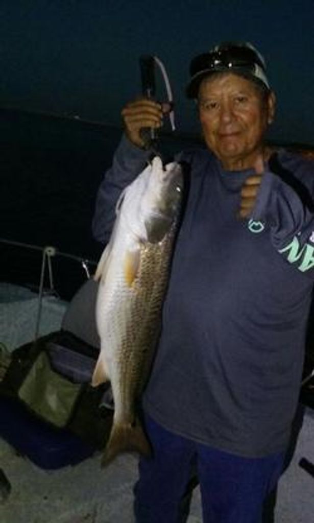 Joe P. Herrera Profile Photo