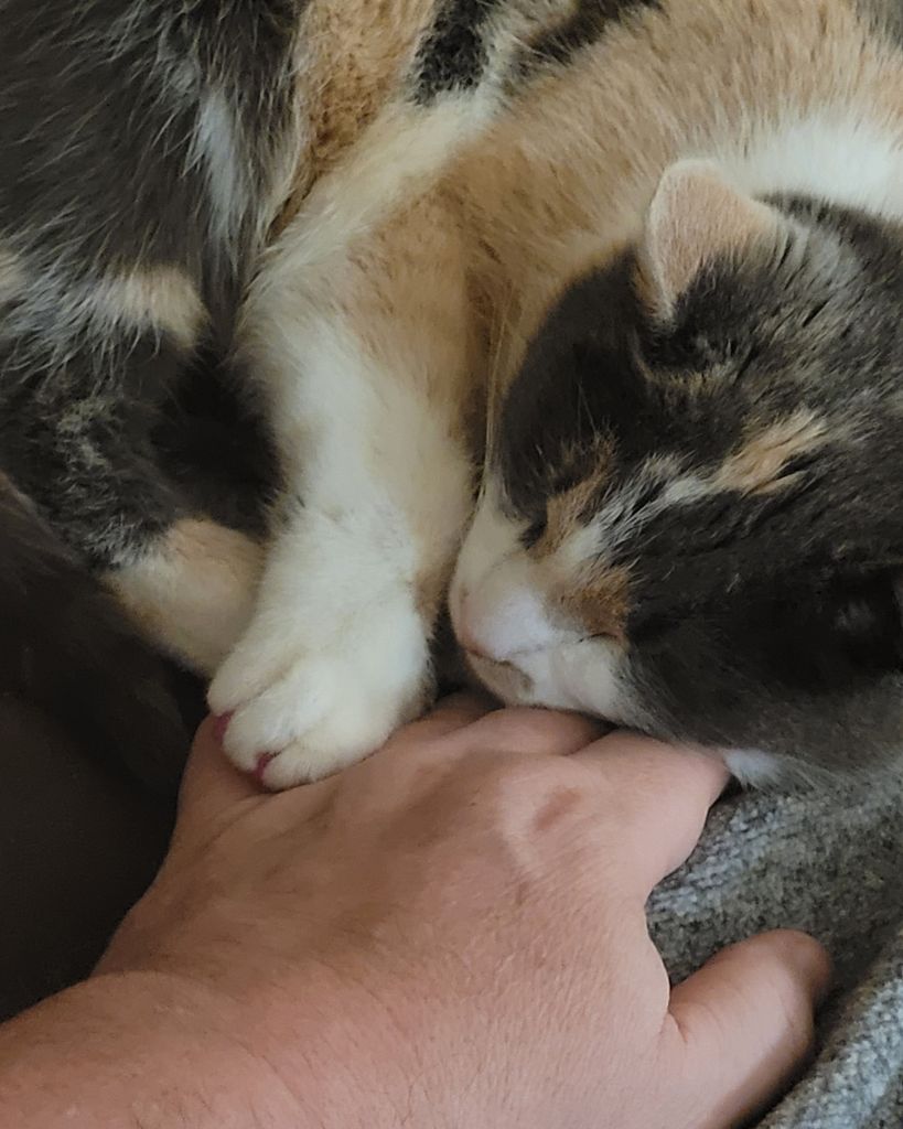 Squeakie Thompson Profile Photo