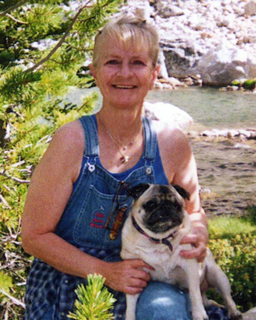 Donna Dean (Whitehead)  Case Profile Photo