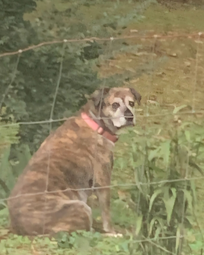 Ruby Carter Profile Photo