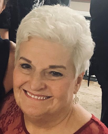 Janice Ann Schmidt's obituary image