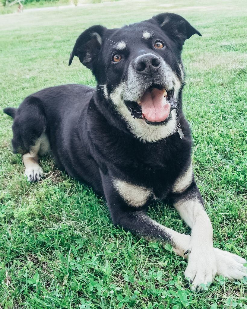 Nelson Fitzenreider Profile Photo