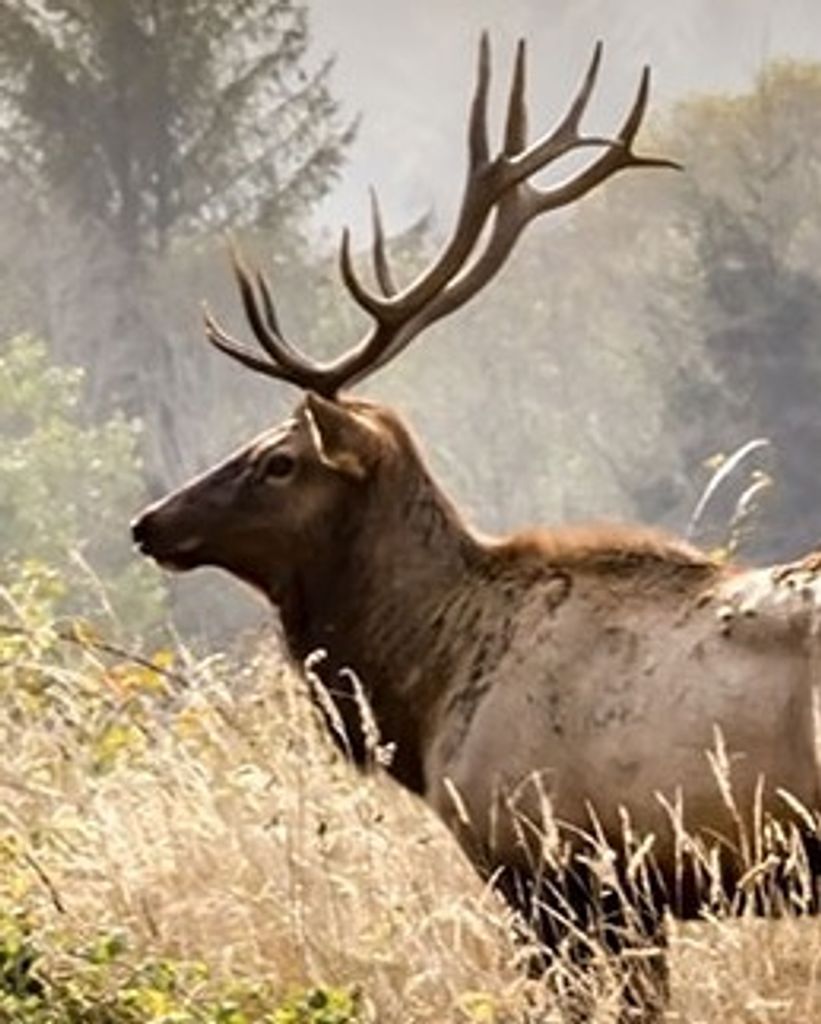 Harvey Leroy Pickens Profile Photo