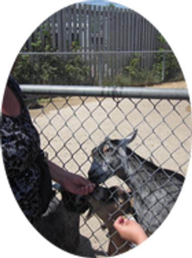 Cheryl  Anne (Miller)  Mcgee Profile Photo