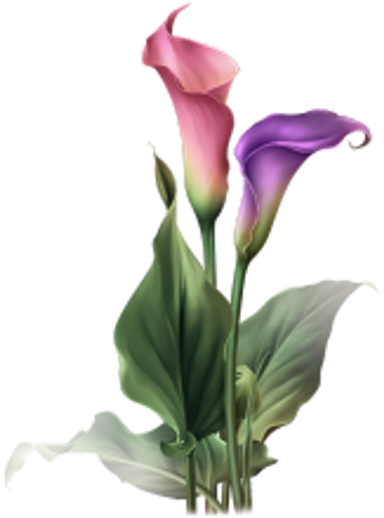 Bertha Wiebe Profile Photo