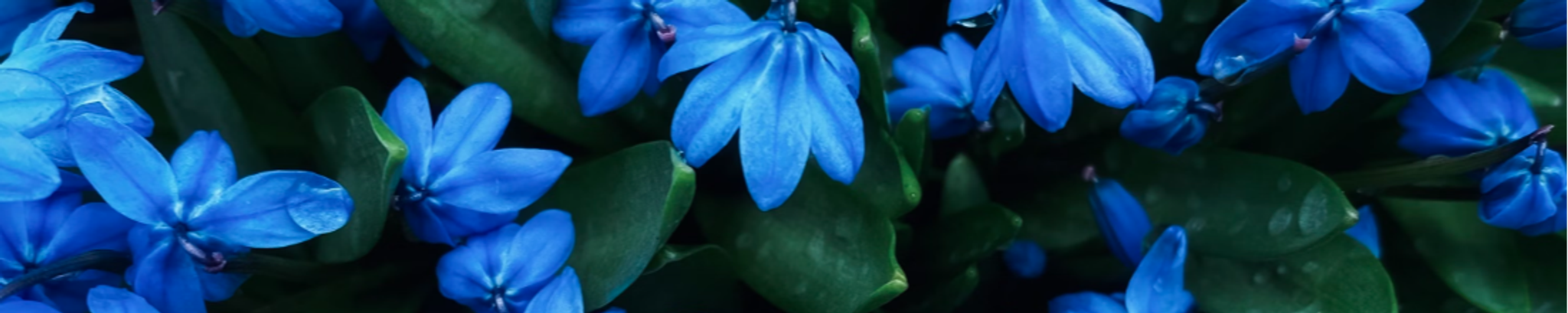 Cover photo for Mildred Ann Huntoon's Obituary